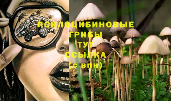 не бодяженный Алексин