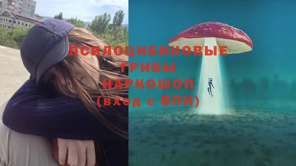 не бодяженный Алексин