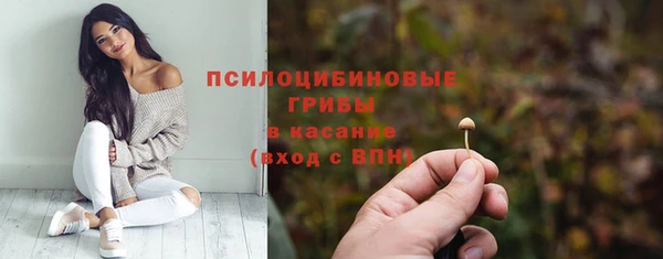 мяу мяу мука Алексеевка
