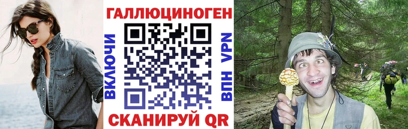 Галлюциногенные грибы Psilocybe где найти Красноуральск